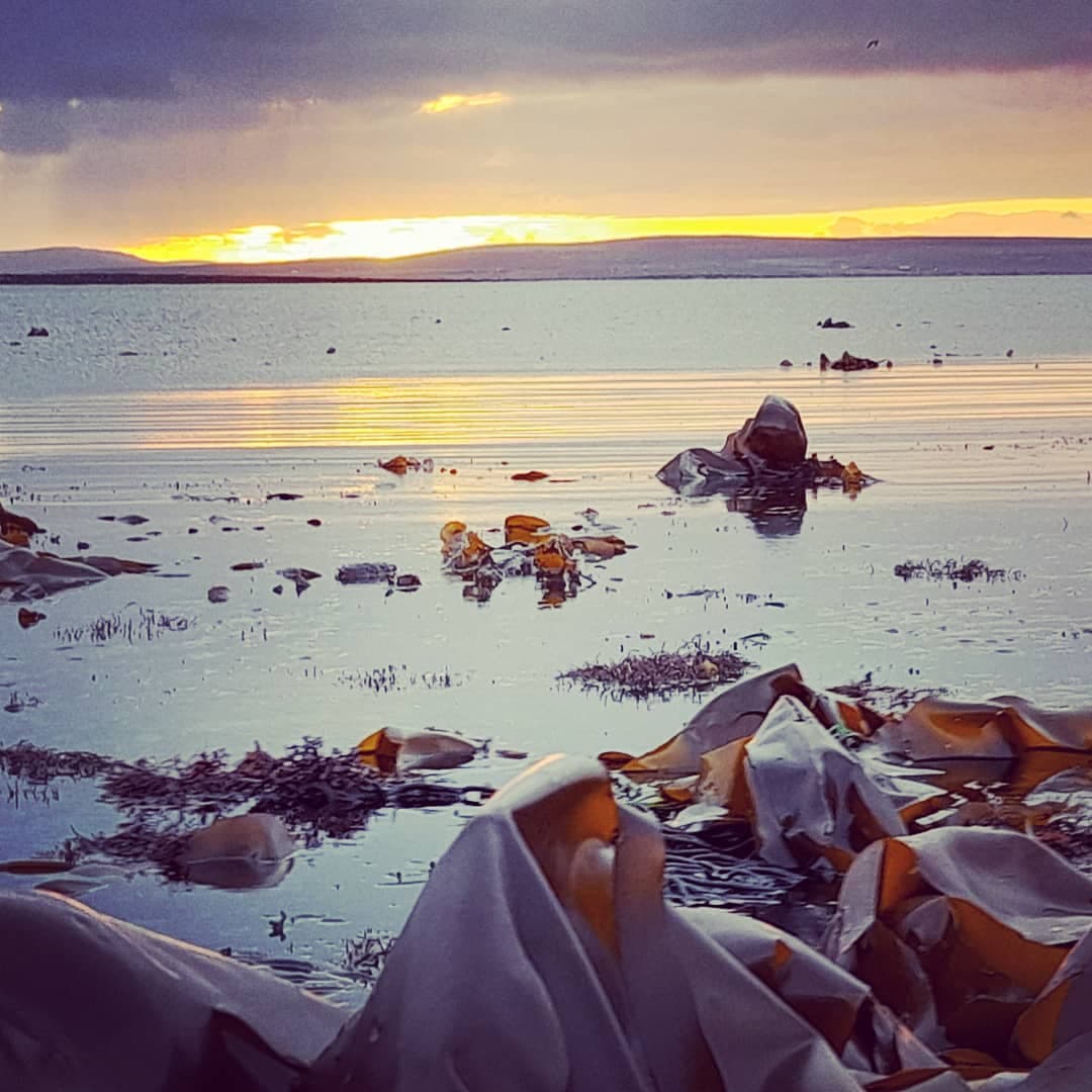 Beach Sunset