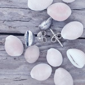 Cowrie Shell (Grotie Buckie) Ear Studs - side view