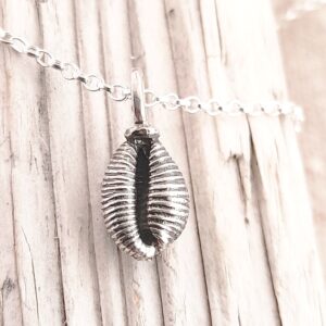 Cowrie Shell-Groatie Buckie Pendant-Medium - Image 2