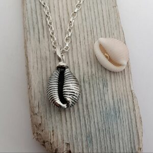 Cowrie Shell-Groatie Buckie Pendant-Medium - Image 6