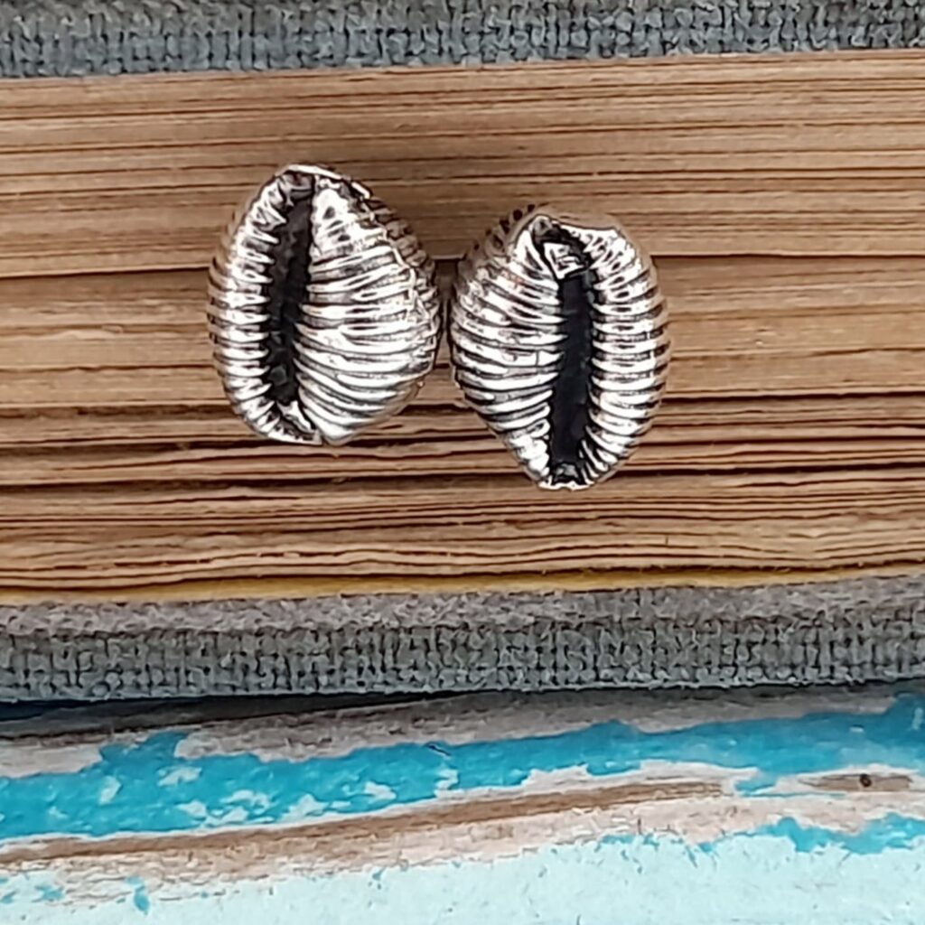 Grotie Buckie - Cowrie Shell Ear Studs-Large