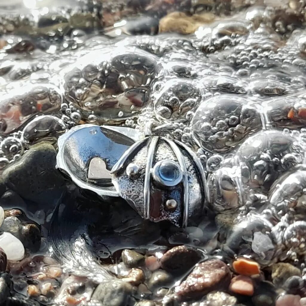 heart of gold cockle shell