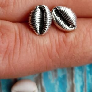 Grotie Buckie - Cowrie Shell Ear Studs-Large - Image 2