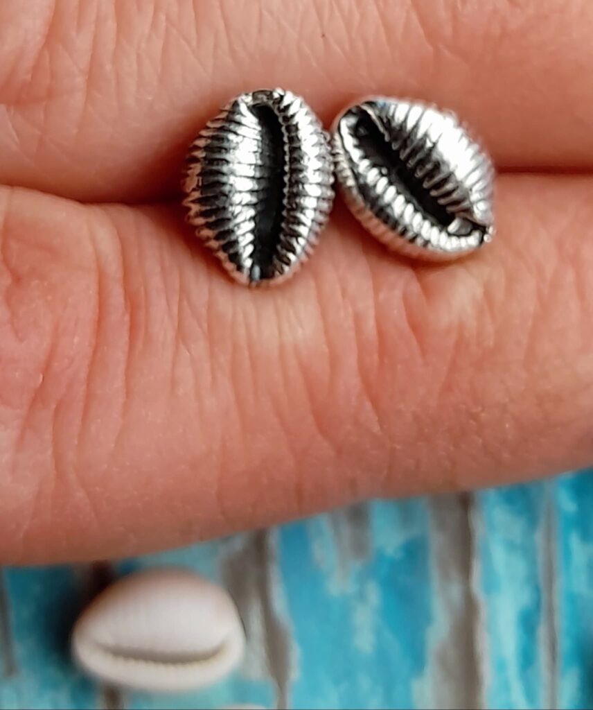 Grotie Buckie - Cowrie Shell Ear Studs-Large