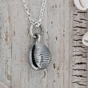 Cowrie Shell-Grotie Buckie Pendant-Large - Image 3
