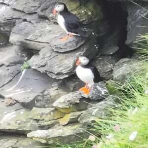 Silver Puffin Pendant - Image 3